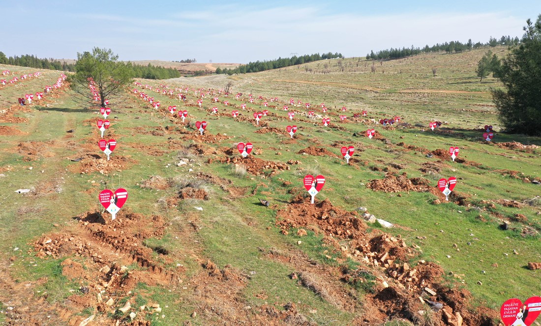 HALİLİYE BELEDİYESİNDEN EVLENEN ÇİFTLERE ÖMÜRLÜK HEDİYE
