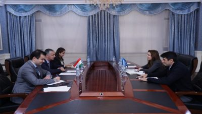 Meeting with the expert of the UN Security Council Monitoring Group